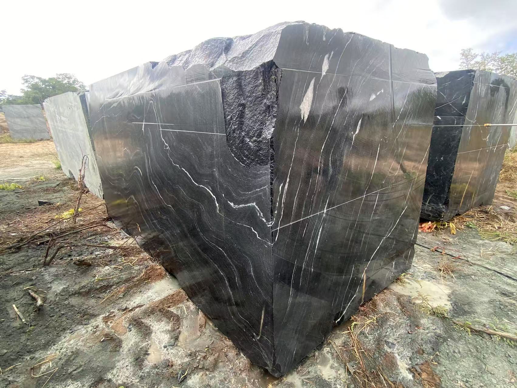 Brazilia Black quartzite 4